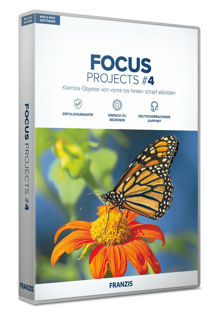 FOCUS PROJECTS 4